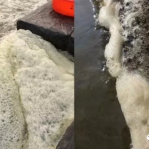 СС��ĭ�����д����C��һ�ĸ��V����N��ĭ��������xح�_�������