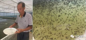 ���ֵ��ӳи��I(y��)����ˮ�a(ch��n)���ɴ��˃�(y��u)�ݻ��a������f