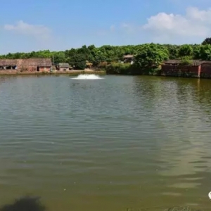 ���ܶ����w�Bֳ�_���~�����H�]���~��߀��ٍ��7500Ԫ�ĳɹ����E