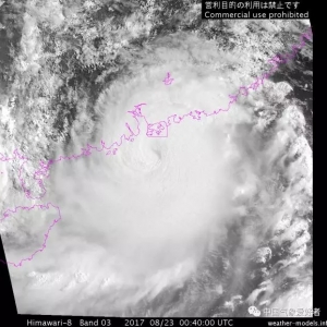 2017���14̖�_�L�������������ɲ��i���A��