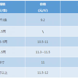 2017��8��26���S��~�r(ji��)�����顪���S��~�r(ji��)��(w��n)��