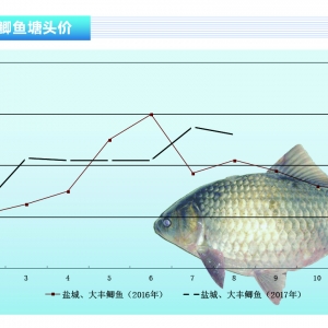 �a�~������ȱ�~ �Ѓr�o�С�����ˮ�aǰ�ء�2017��9�¿��Ј�څ��