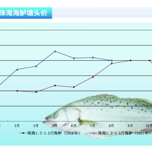���|�����~�������Ͻ��O�ڽY�������µ������@������ˮ�aǰ�ء�2017��9�¿��Ј�څ��
