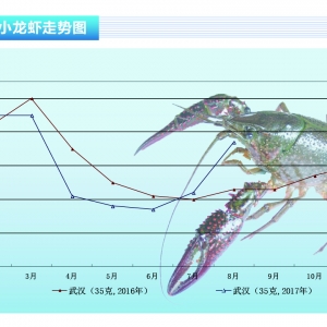 С���r���������� �r�񱩝q������ˮ�aǰ�ء�2017��9�¿��Ј�څ��
