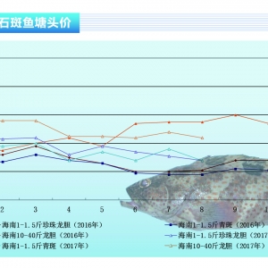 ʯ���~������ɵ������п��á�����ˮ�aǰ�ء�2017��9�¿��Ј�څ��