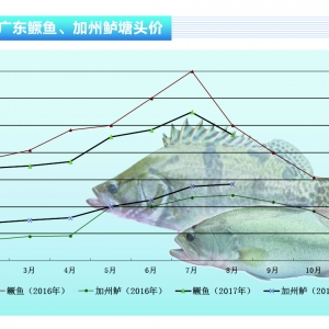 �Z�~�����f�~����  �r�񲨄��l��������ˮ�aǰ�ء�2017��9�¿��Ј�څ��