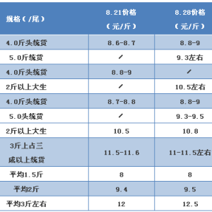 ���~�r����m�ϝq���֝q��0.2Ԫ/���2017��8��28�����~�r������