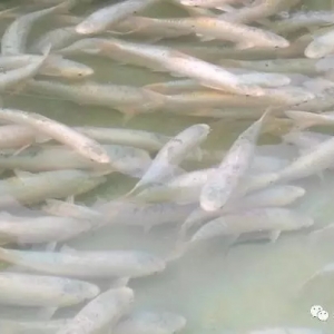 һ�l���ߌ���·�Ĳ��~(y��)�������S���U�������M�ճ���