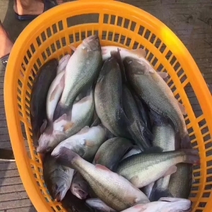 �����|���~�����������С���2017��9��6�ռ����|���^��r