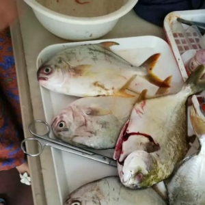 ���K�~��С���x���ѳ��F(xi��n)���ֵ��ч�(y��n)�ر��l(f��)��