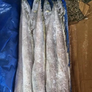 ������Ϣ�������ގ��~���Ηl����������϶ࠖ���r