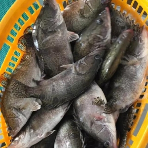 �𻨼������Ѓr���͵�����21017��9��18�չ��~���^��r