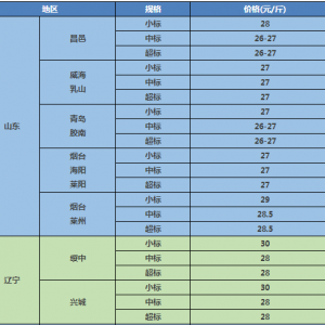 ���~�����J�p�����p������q�ѳɶ��֣� | �����~����ÿ�܌��I���