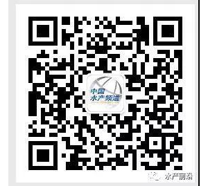 �_���֫I���С���ˮ�a(ch��n)�����x�����E�[ | �ޕr���M˽���n