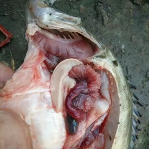 ���~������У������~�r�µ������~�r���Ҫ�|�ף�