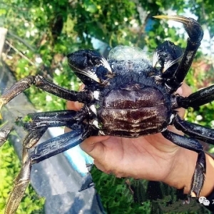 ��΄e�˼Һ�з���u�Ãr�X��