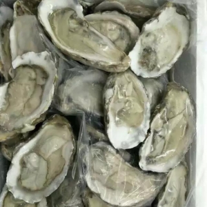 ������Ϣ���뚤��ϖ�����ô󱱘O��ѩ�~