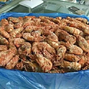 ������Ϣ��ӡ��С�u��Ұ���t�����������m�r