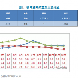 1���~��r8ë����ǰ1�������У�