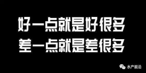 �q�r������ǿ��µ��]����