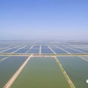 ԇԇ�������~�r���B(y��ng)���ɺã�