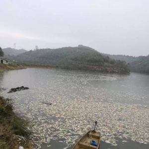 ����~�r���飬�pʧ200���fԪ���l���I�Σ�