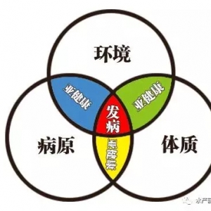 ˮ�a(ch��n)�B(y��ng)ֳ�����x�����E�[����ͣ� �n�Pӛ��(ji��)�x�����_�������