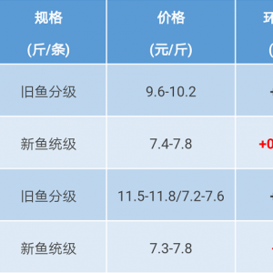 2017��10��21�����~���^�r���麆��--����½���������l