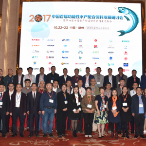 �~Ԫ�������ˡ�һƬ��İ�ȫ������Ͽ�����Щʲô��