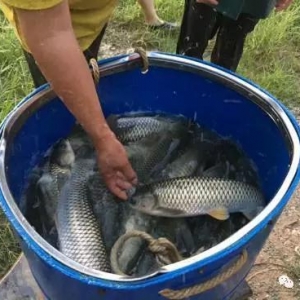 ���~�������أ������ϝq0.2Ԫ����ɽ�S��С���~�ϝq0.2Ԫ��2017��10�� ...