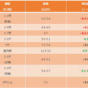 2017��10��28�ղ��~���^�r���麆��--���~���٣��~�r���в���