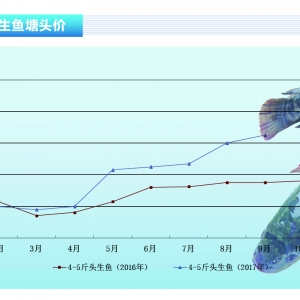 ���~����Ҏ(gu��)���~ȱ؛�~�r�����á�2017��11�¿��Ј�څ��