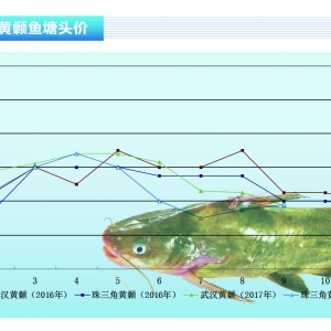 �S��~���ӑB�����r��ƽ����ˮ�aǰ�ء�2017��11�¿��Ј�څ��