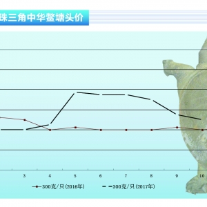 ���~�����c����~���s�r������ˮ�aǰ�ء�2017��11�¿��Ј�څ��