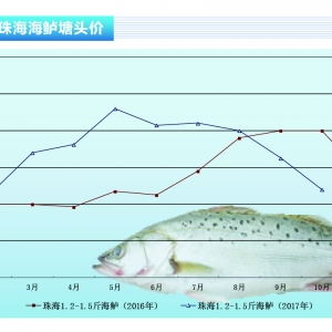 �����|�����~�������У��������@����ˮ�aǰ�ء�2017��11�¿��Ј�څ��