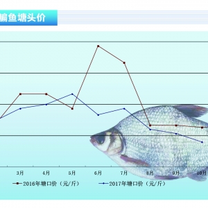 �a�~��Ҏ��r��څ���@����ˮ�aǰ�ء�2017��11�¿��Ј�څ��