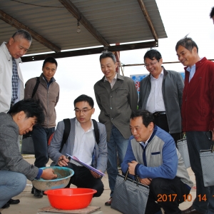 ���w�����x�����g(sh��)�о��c��(y��ng)�ë@���A���Գɹ�