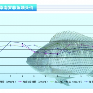�_���~������һ��r(ji��)��Љ�����ˮ�a(ch��n)ǰ�ء�2017��11�¿��Ј�(ch��ng)څ��(sh��)
