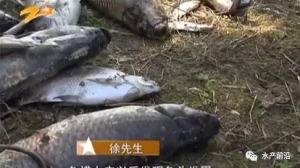 13000���~һҹ�gȫ���x��������ԭ����......