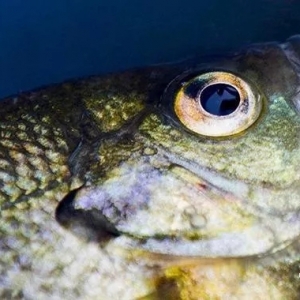 ʲô������׌�~�xˮ�����첻����