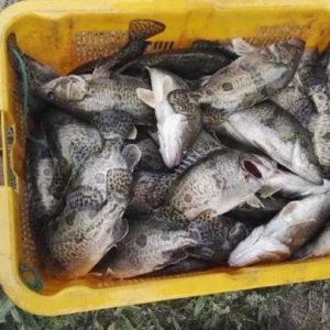 �B(y��ng)�~���ף���͵���y�����~�D���~��q���B(y��ng)����m��͵�~�pʧ��ʮ�f��