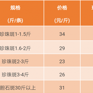 2017��11��11��ʯ���~���^�r���麆��--�����������r����q��һ