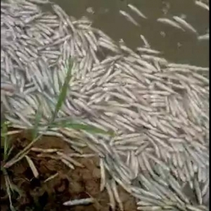 ���T�Bֳ����f�l���qһҹ֮�g�ж��������F���|Ŀ�@�ģ�