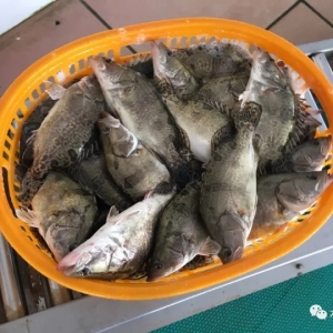 �V�|���~�����~�����Нq���S��~�����F����