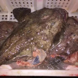 2017��11��14�չ�����Ϣ���c�K�~�����~�ָ�aƷ�����~�^���~β��