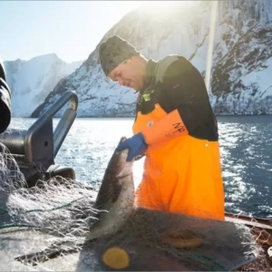 Ų�����������~�ͱ��O�L�~��߀����Щ�õĺ��aƷ��