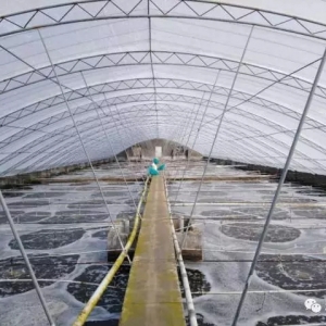 �a�I���R���ص��D��Σ�C���������ˆ᣿