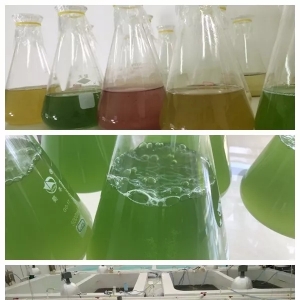 �W��ˮ�a���ȫ�����a���g���ͣ������@���