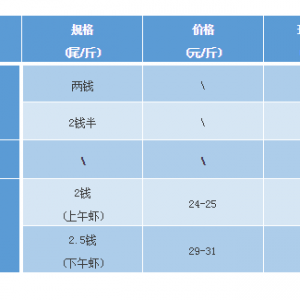 2017��11��18���_�����r���^�r