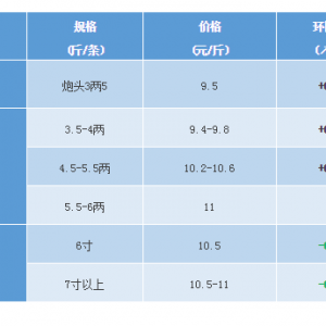 �_���~�������w6������Ҏ��3.1-3.3Ԫ/��